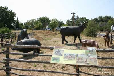 Kırklareli Merkez Aşağıpınar Arkeolojik Kazısı